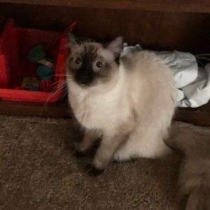 Meet your Posher, Kathleen